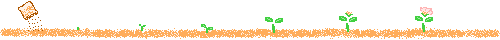 T1